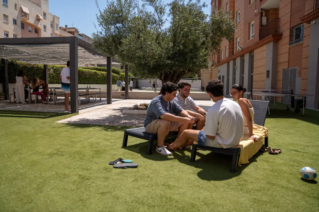Grupo de residentes internacionales charlando en el jardín de la residencia, junto al olivo